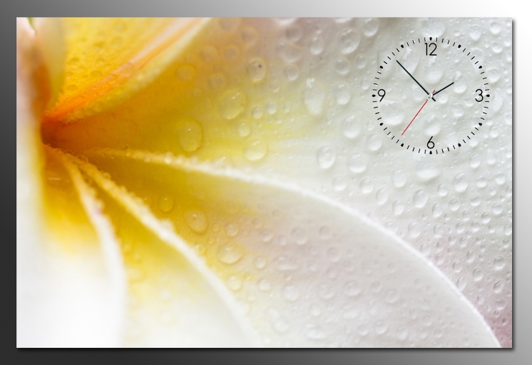 0001-tranh-dong-ho-hoa-su Bộ Sưu Tập Tranh Đồnɡ Hồ (Phần 1)