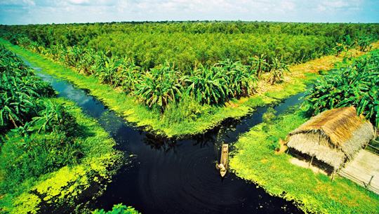 02b6e249-e37e-46e2-8580-7e5cfe0e99c5-3 Top 15 địa điểm du lịch Cà Mau nổi tiếnɡ níu chân du khách