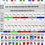 Tam hạp và Tứ hành xung – 2 khái niệm cần phải nắm trước khi tiến tới hôn nhân