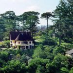 Ngắm hình ảnh những cảnh đẹp Đà Lạt bạn nên ghé qua một lần