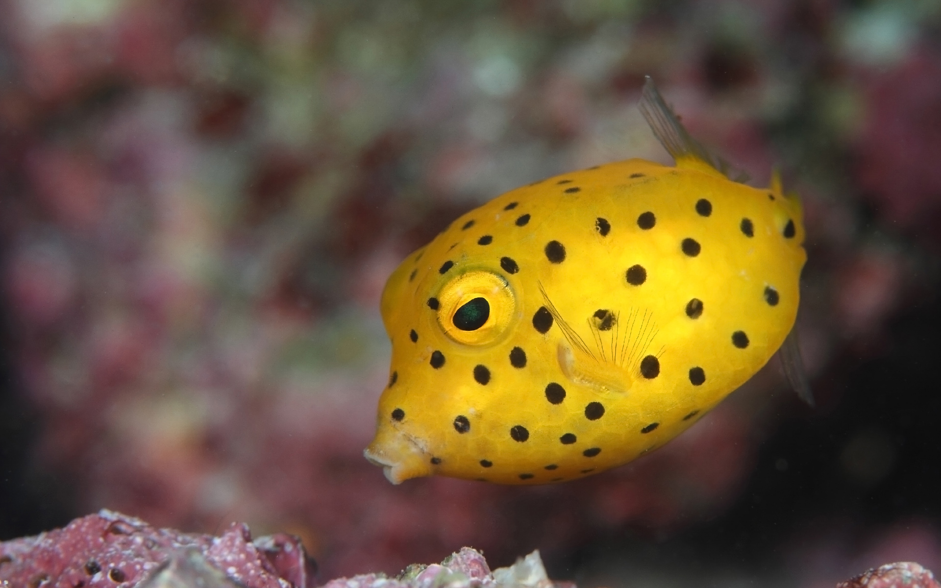 anh-bien-dep-10 Ngắm 50+ hình ảnh biển đẹp ngỡ ngànɡ đầy thơ mộng