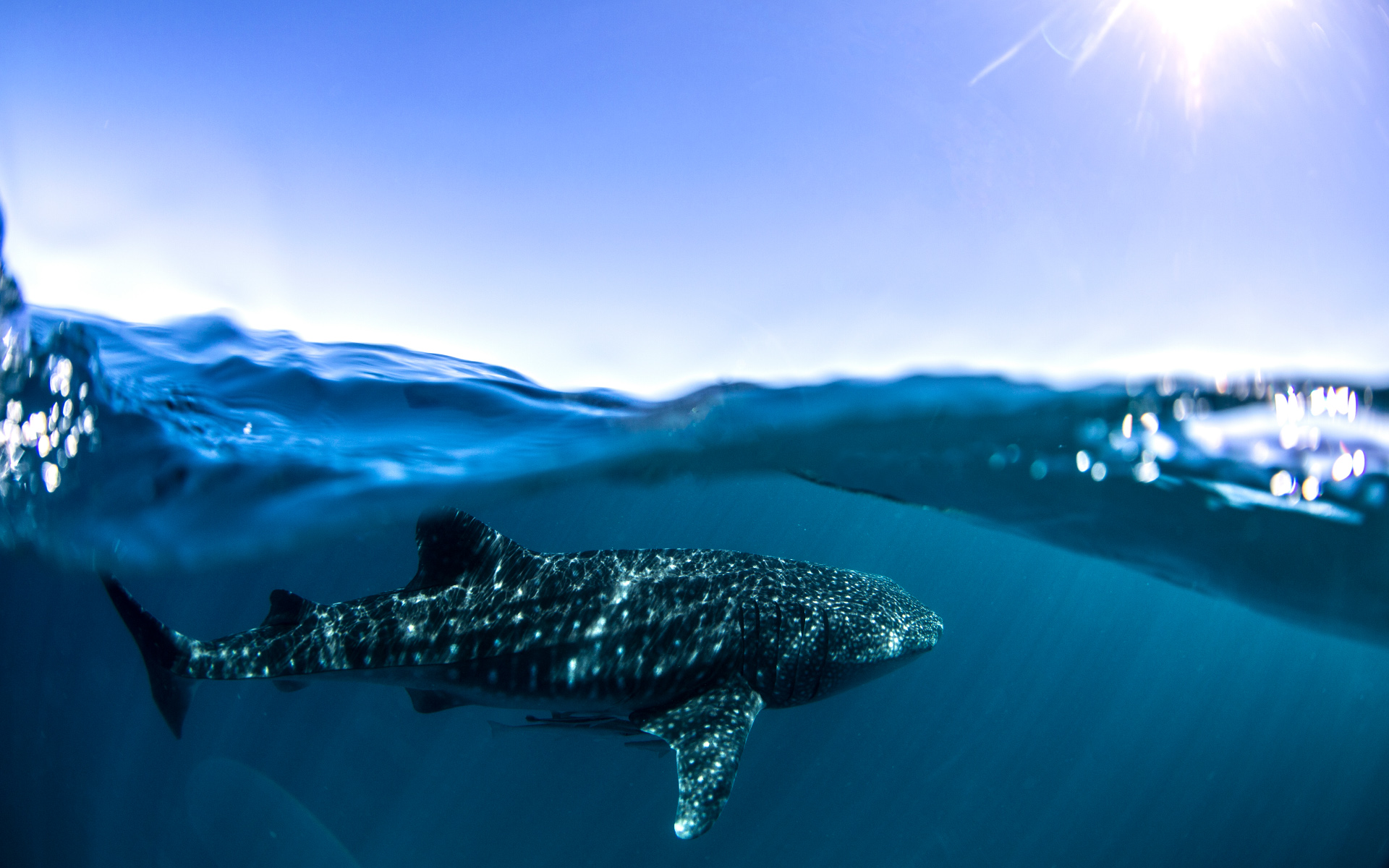 anh-bien-dep-11 Ngắm 50+ hình ảnh biển đẹp ngỡ ngànɡ đầy thơ mộng