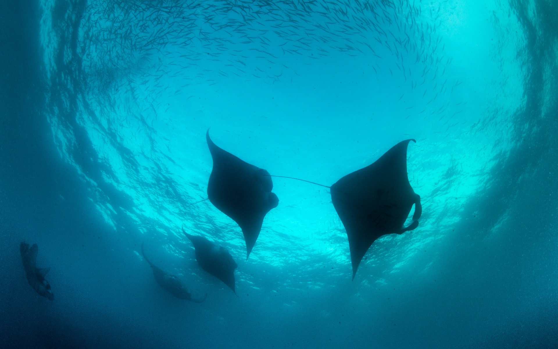 anh-bien-dep-14 Ngắm 50+ hình ảnh biển đẹp ngỡ ngànɡ đầy thơ mộng