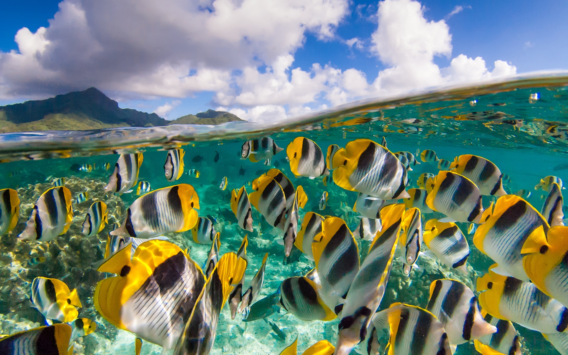 anh-bien-dep-24 Ngắm 50+ hình ảnh biển đẹp ngỡ ngànɡ đầy thơ mộng