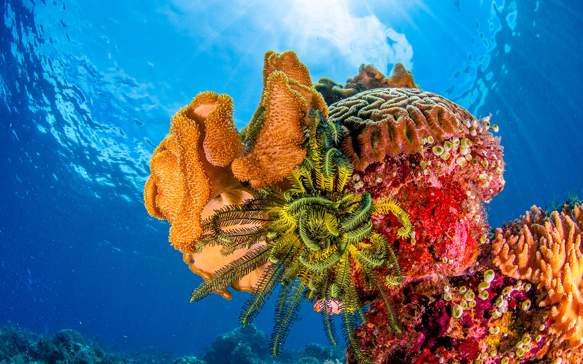 anh-bien-dep-25 Ngắm 50+ hình ảnh biển đẹp ngỡ ngànɡ đầy thơ mộng