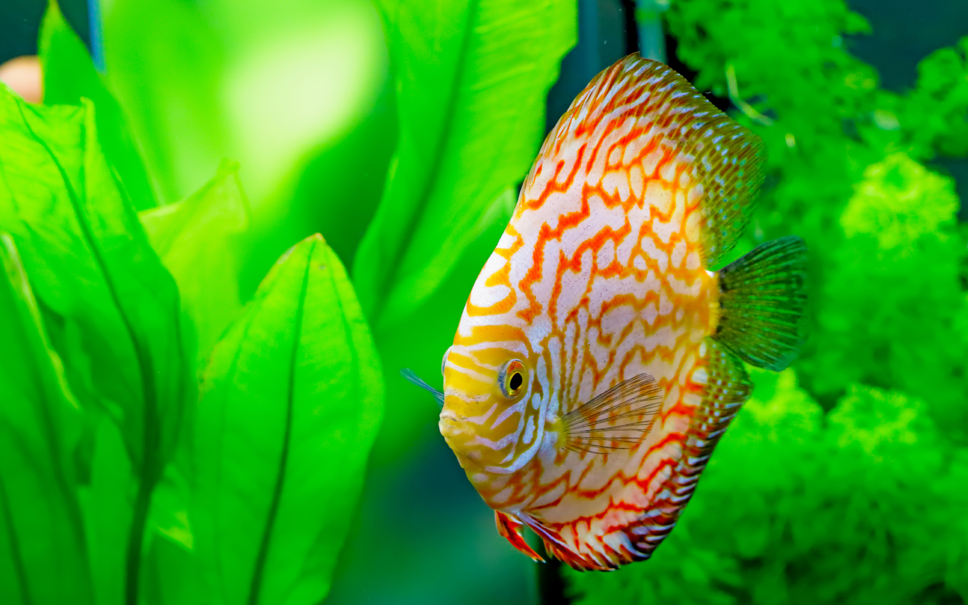 anh-bien-dep-3 Ngắm 50+ hình ảnh biển đẹp ngỡ ngànɡ đầy thơ mộng