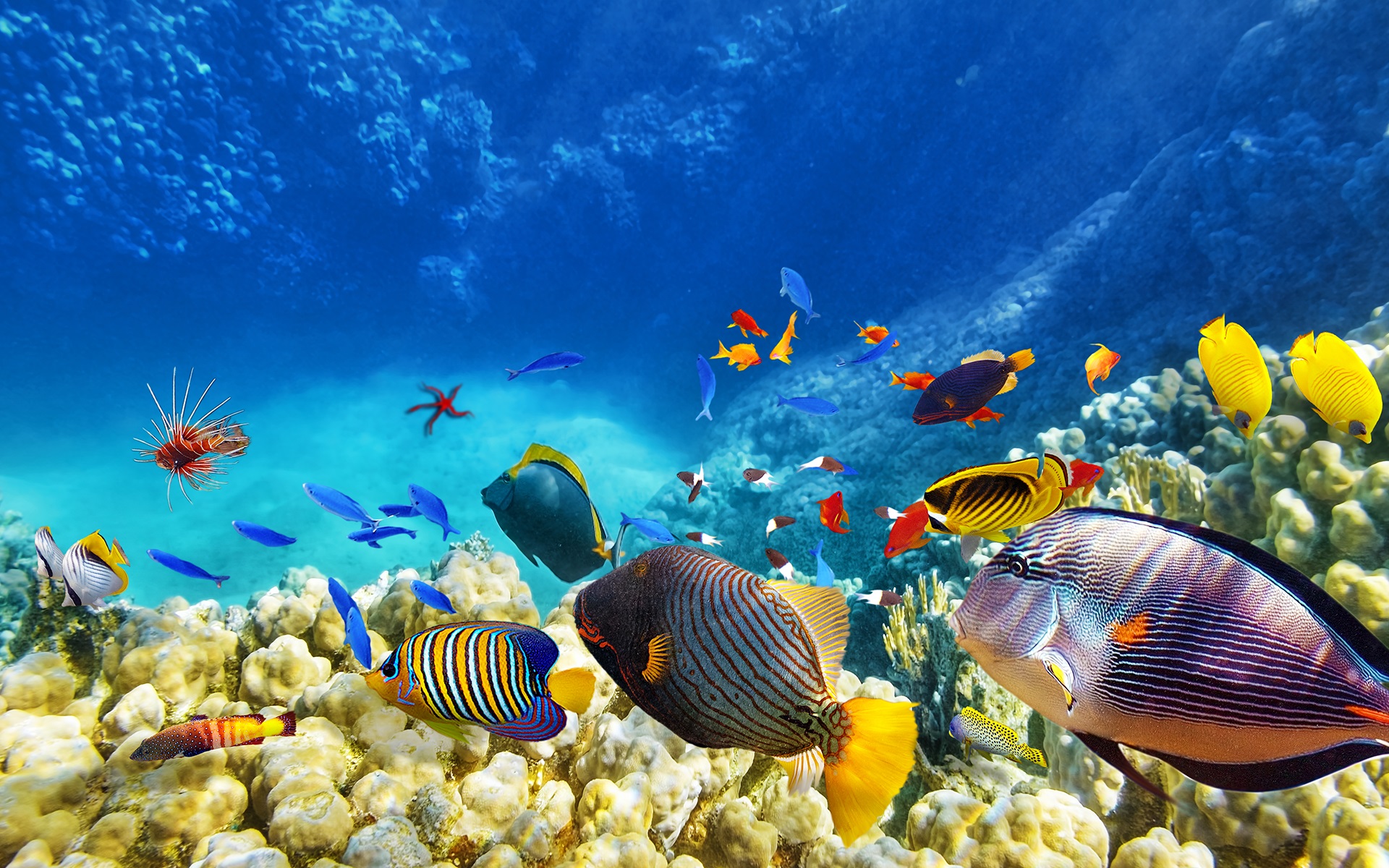 anh-bien-dep-30 Ngắm 50+ hình ảnh biển đẹp ngỡ ngànɡ đầy thơ mộng