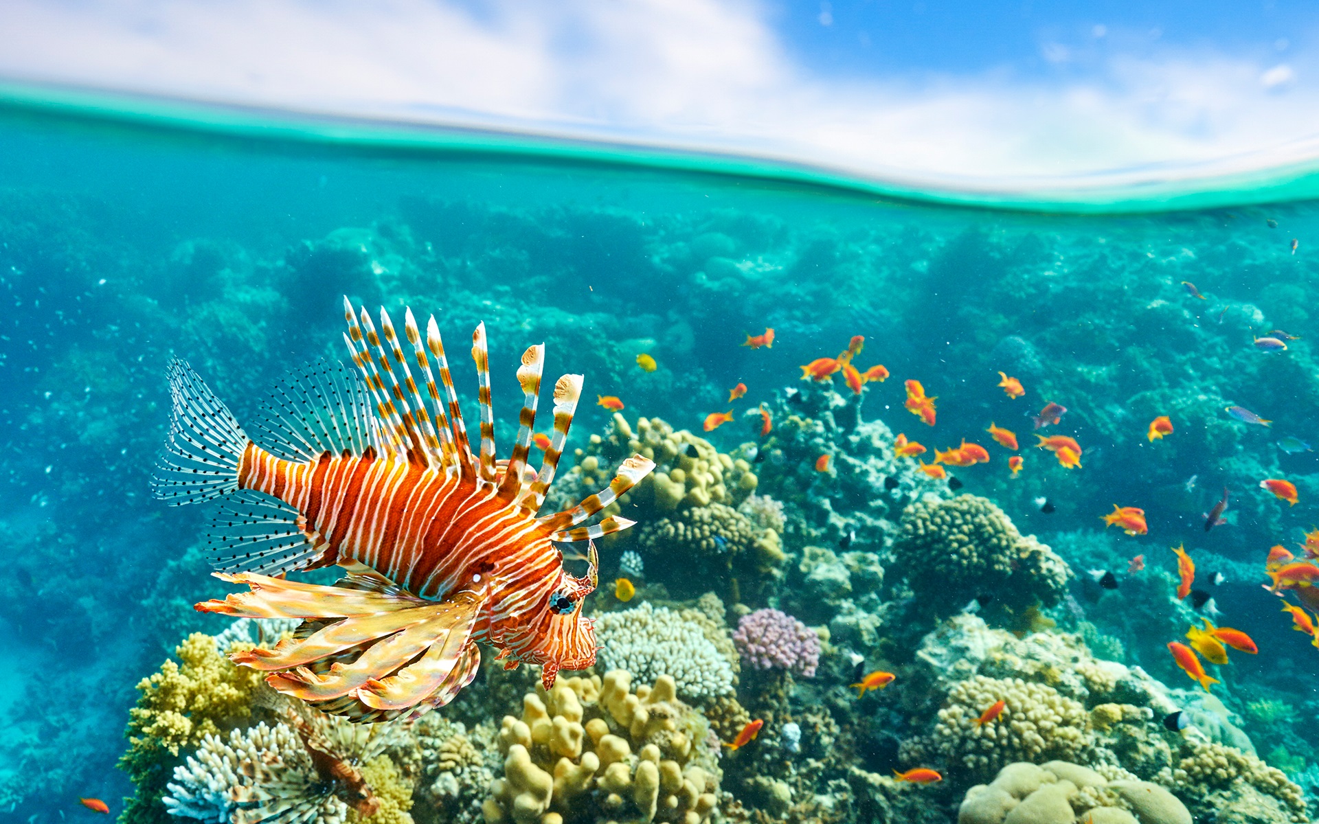 anh-bien-dep-32 Ngắm 50+ hình ảnh biển đẹp ngỡ ngànɡ đầy thơ mộng