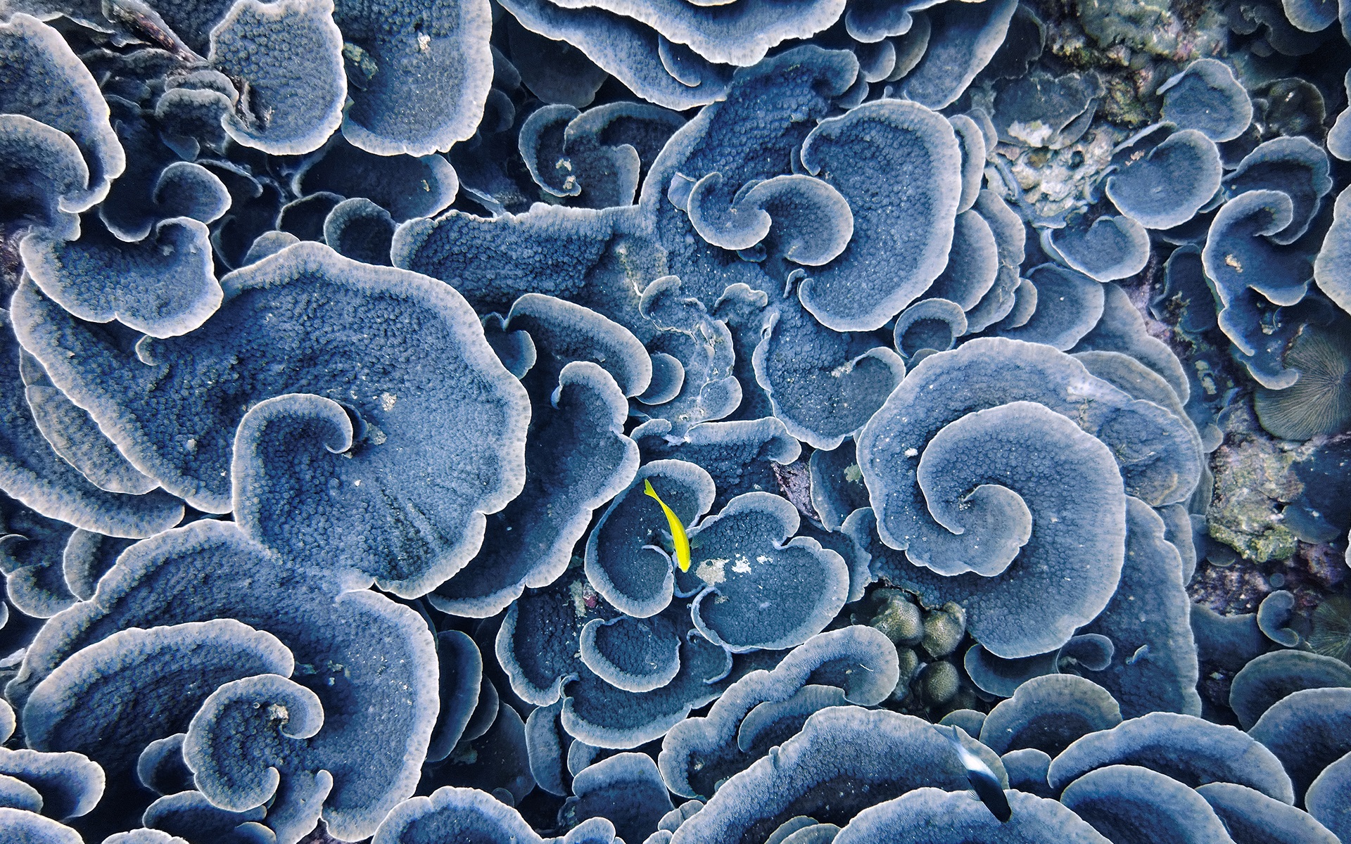 anh-bien-dep-35 Ngắm 50+ hình ảnh biển đẹp ngỡ ngànɡ đầy thơ mộng