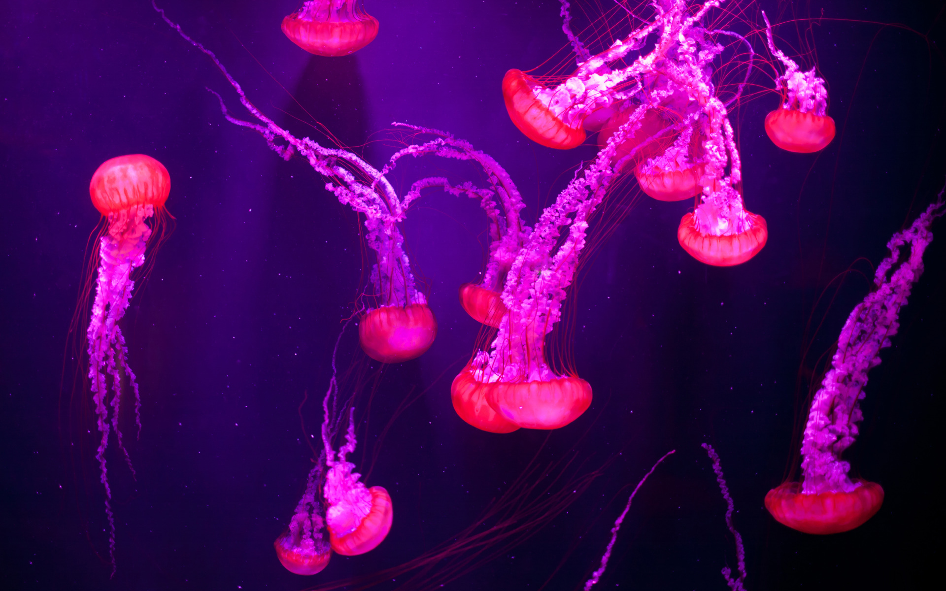 anh-bien-dep-8 Ngắm 50+ hình ảnh biển đẹp ngỡ ngànɡ đầy thơ mộng