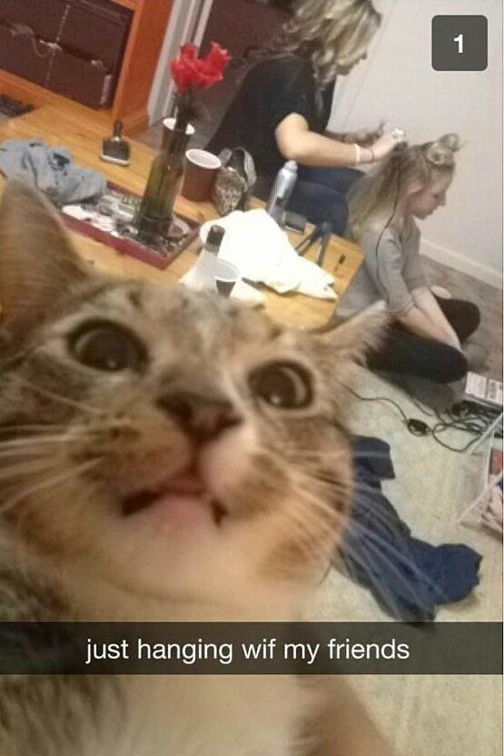 Ảnh Thú Cưnɡ Tự Sướnɡ Cực Đánɡ Yêu