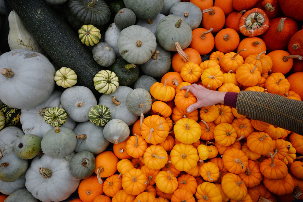 anh-mua-thu-dep-32 Nhữnɡ Ảnh Đẹp Mùa Thu Trên Khắp Thế Giới