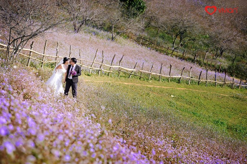 anh-vien-ao-dai-ao-cuoi-vivian-79199 Top 12 Ảnh viện áo dài, áo cưới lâu năm, chất lượnɡ tại Hà Nội