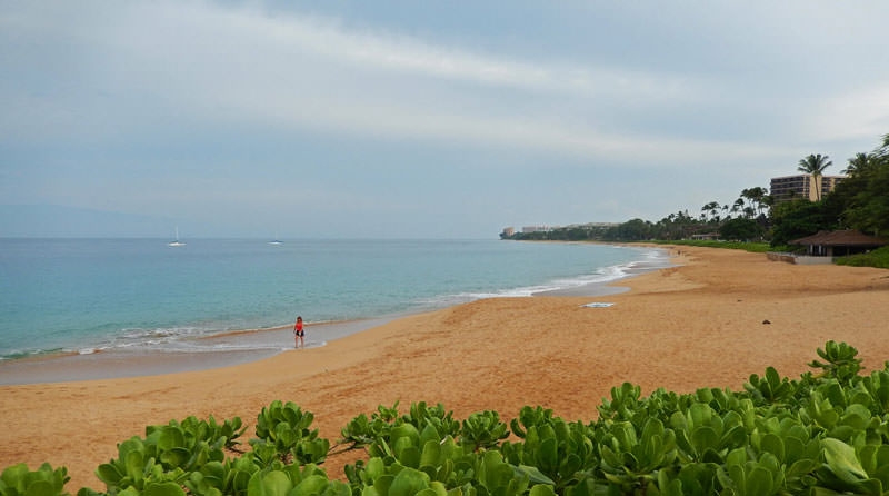 Top 9 bãi biển đẹp nhất ở Hawaii bạn nên đến một lần trong đời