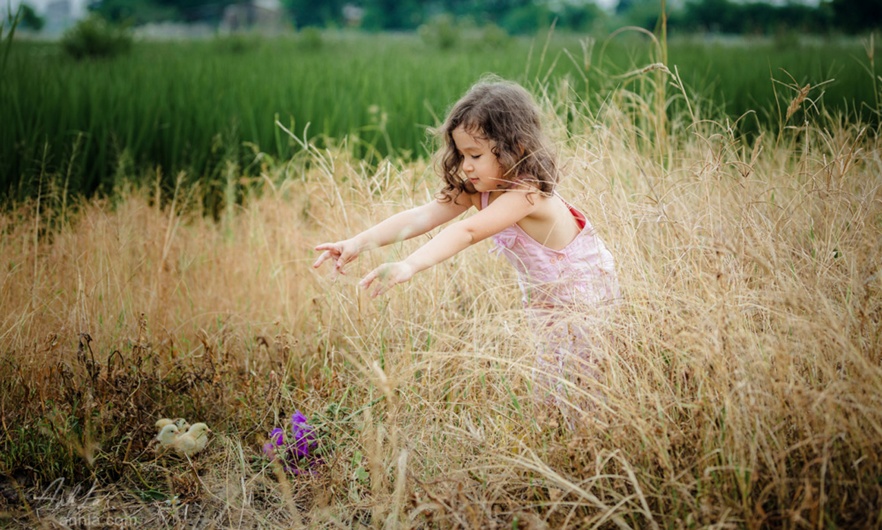 be-xinh-13 Tải Ảnh Bé Xinh Và Gà Con