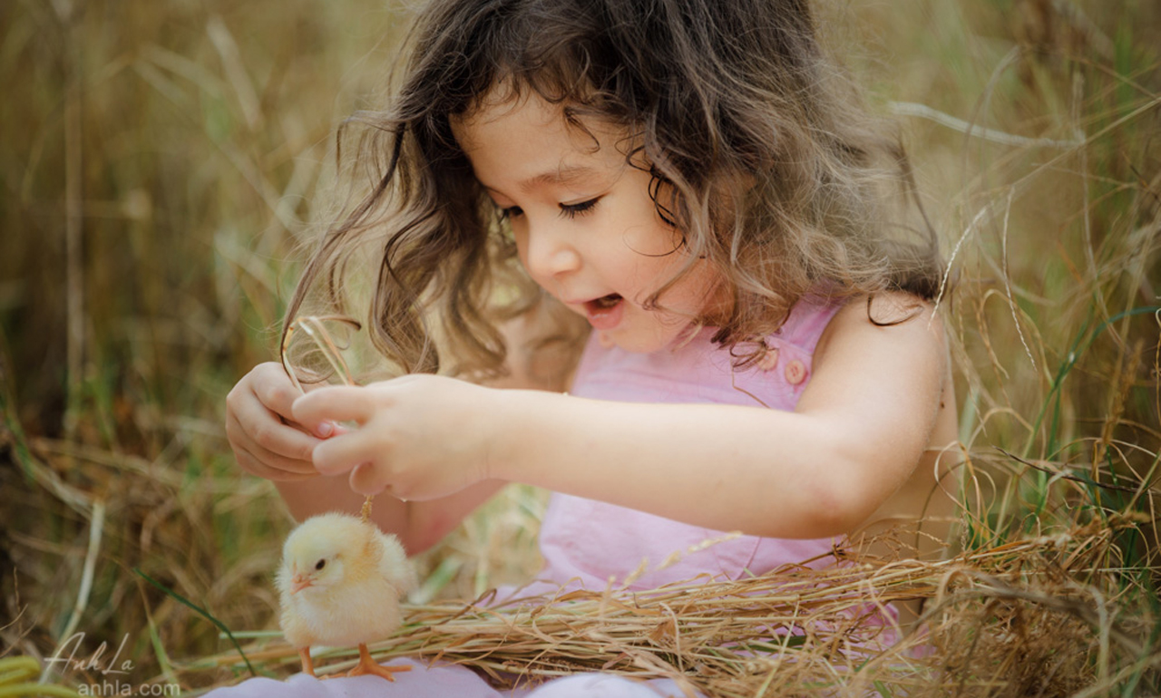 be-xinh-16 Tải Ảnh Bé Xinh Và Gà Con