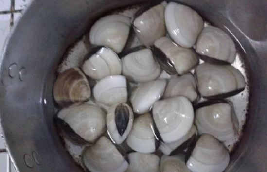 Cách nấu canh nghêu thì là thơm ngon, thanh mát