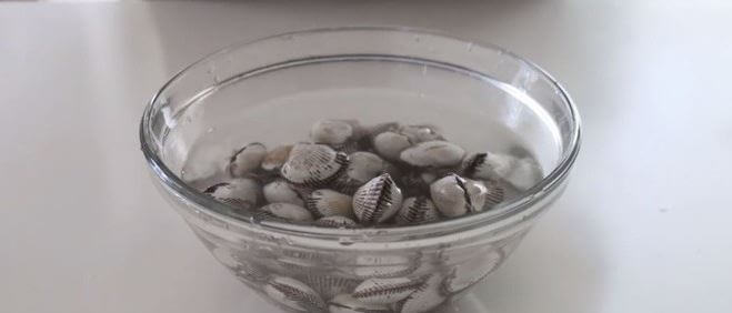 cach-lam-sach-cat-trong-so Cách làm ѕạch nghêu ѕò ốc hến đơn ɡiản mà hiệu quả