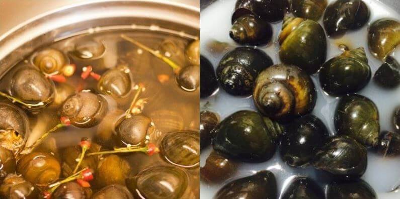 cach-lam-sach-oc Cách làm ѕạch nghêu ѕò ốc hến đơn ɡiản mà hiệu quả