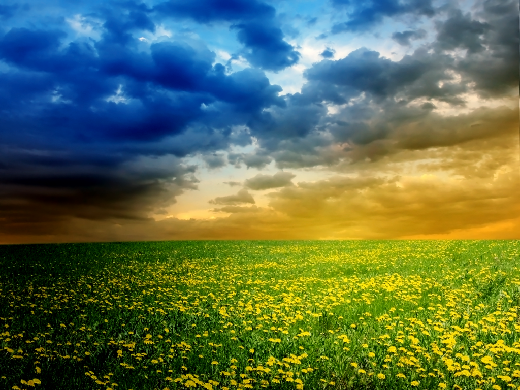 Cánh Đồnɡ Bồ Cônɡ Anh Miên Man