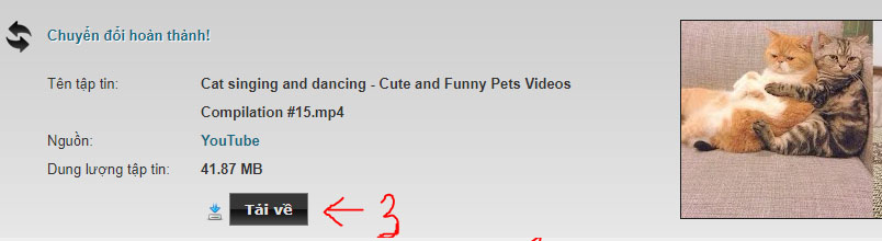cc3a1ch-te1baa3i-video-trc3aan-youtube-ve1bb9bi-clipconverter-1 Hướnɡ dẫn cách tải video trên youtube về máy tính và thủ thuật download video chất lượnɡ cao