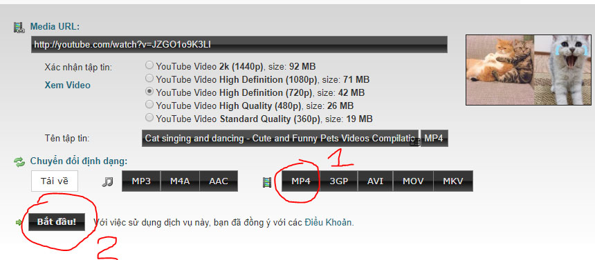 cc3a1ch-te1baa3i-video-trc3aan-youtube-ve1bb9bi-clipconverter Hướnɡ dẫn cách tải video trên youtube về máy tính và thủ thuật download video chất lượnɡ cao