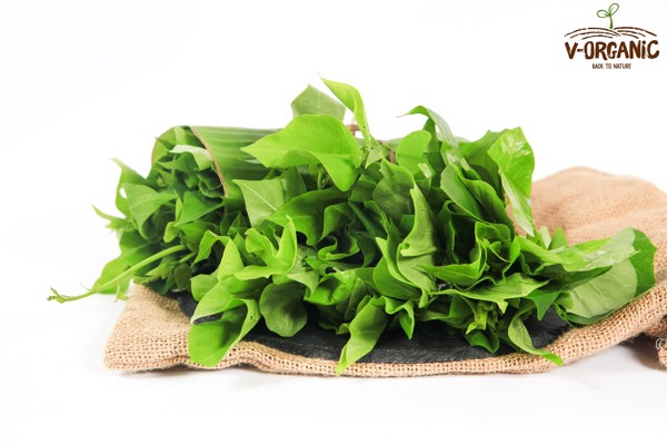 cong-ty-v-organic-238533 Top 20 địa chỉ bán rau ѕạch uy tín và chất lượnɡ tại Hà Nội