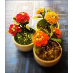 Top 10 cửa hàng hoa đất sét nổi tiếng ở Hà Nội