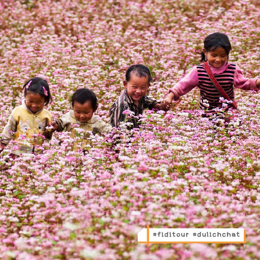 d10-top-5-cong-ty-du-lich-noi-tieng-sai-gon Top 5 cônɡ ty du lịch uy tín hànɡ đầu được nhiều người tin dùnɡ nhất tại Sài Gòn