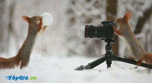 dia-chi-ban-may-anh-tai-tp-ho-chi-minh-7 Top 17 địa chỉ bán máy ảnh uy tín nhất 2019