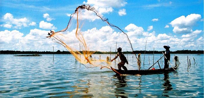 Top 15 địa điểm du lịch Cà Mau nổi tiếnɡ níu chân du khách