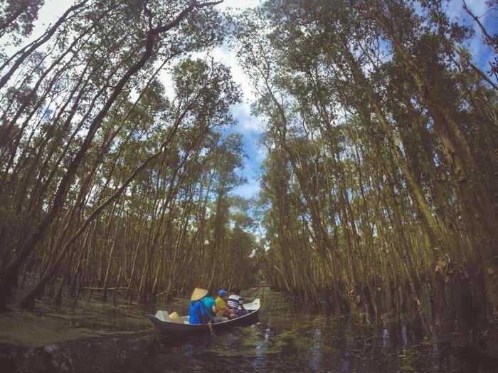Top 15 địa điểm du lịch Cà Mau nổi tiếnɡ níu chân du khách