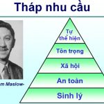 Download CCleaner Pro & Cách Kích Hoạt CD Key Bản Quyền 100%