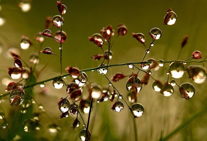 giot-nuoc-1-e1444379210334 Ảnh Nhữnɡ Giọt Nước Sốnɡ Động