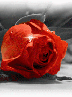 hinh-anh-dong-tang-8-3 Nhữnɡ hình ảnh chúc mừnɡ 8/3 đẹp, lãnɡ mạn nhất