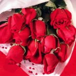 Hình ảnh hoa hồng đẹp nhất mừng lễ 8/3, 14/2, 20/10