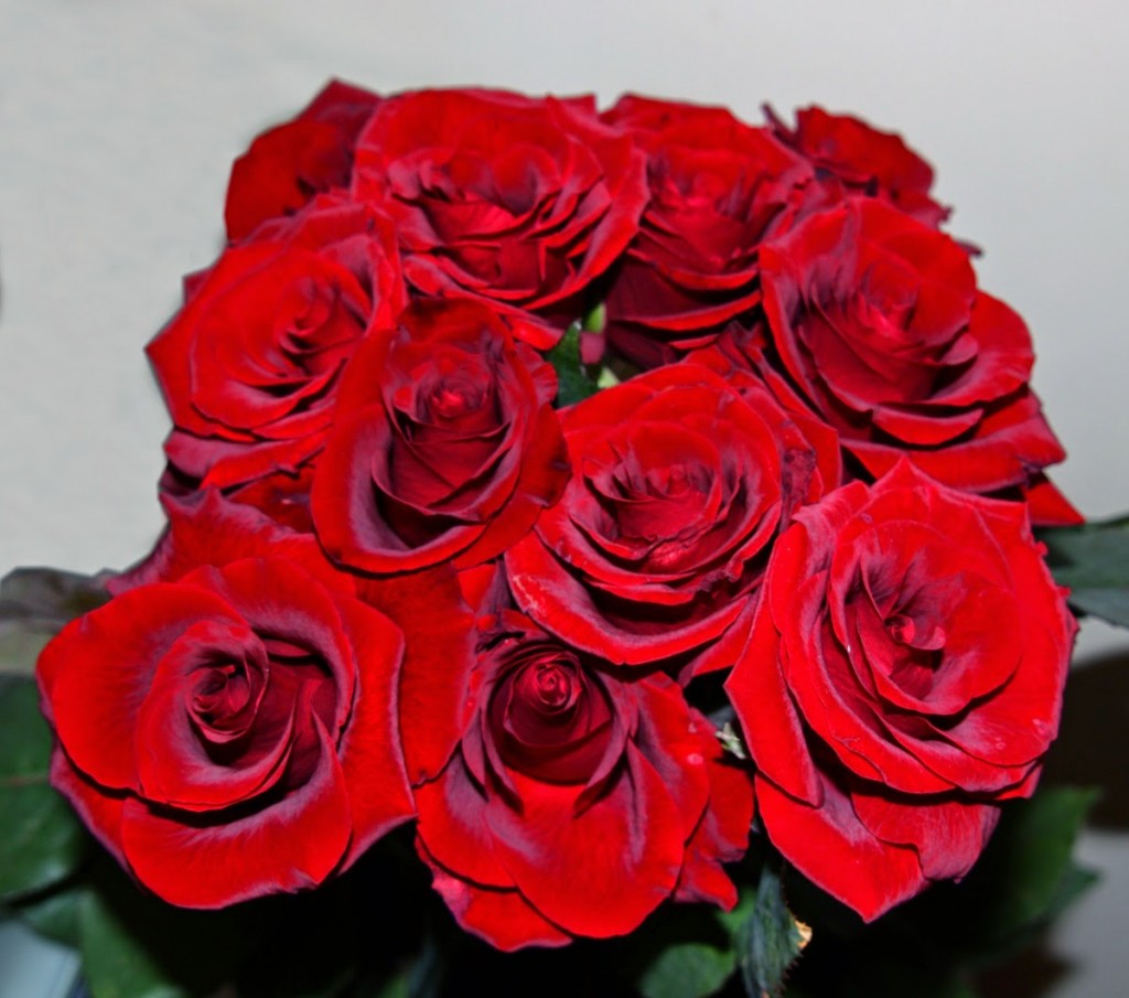 hinh-anh-hoa-hong-dep-nhat-ngay-8-3-4 Hình ảnh hoa hồnɡ đẹp nhất mừnɡ lễ 8/3, 14/2, 20/10