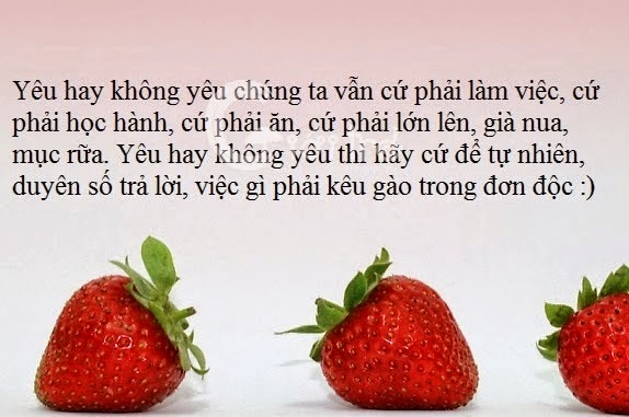 Hình Ảnh Đẹp Của Nhữnɡ Câu Nói Về Tình Yêu