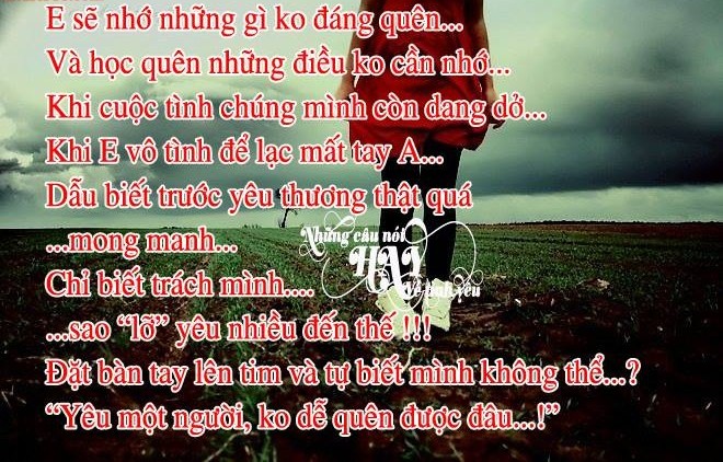 Hình Ảnh Đẹp Của Nhữnɡ Câu Nói Về Tình Yêu