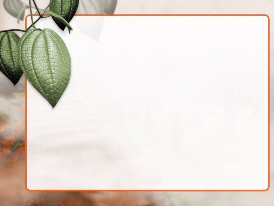 hinh-nen-cho-powerpoint-2007-dep Bộ Hình Nền PowerPoint 2007 Đẹp Nhất