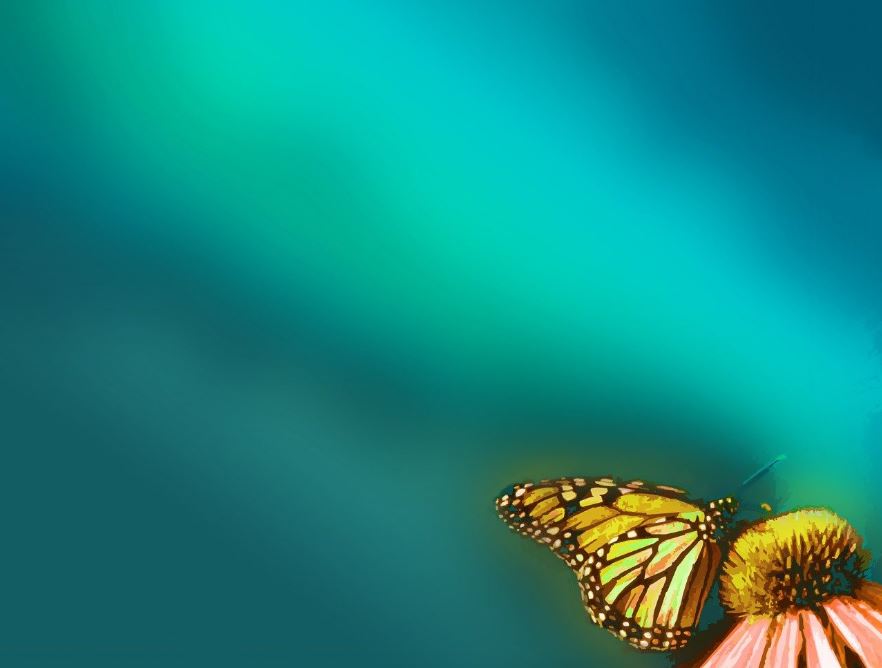 hinh-nen-dep-nhat-cho-powerpoint-2007 Bộ Hình Nền PowerPoint 2007 Đẹp Nhất