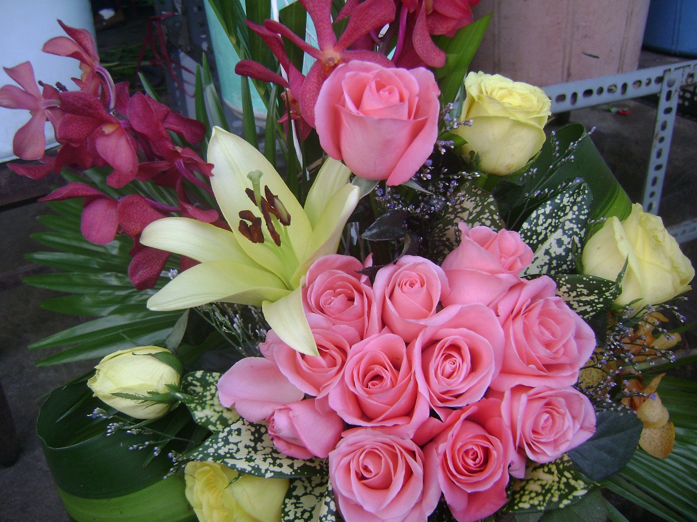 Hình Nền Hoa Đẹp Đón Lễ 20 – 10