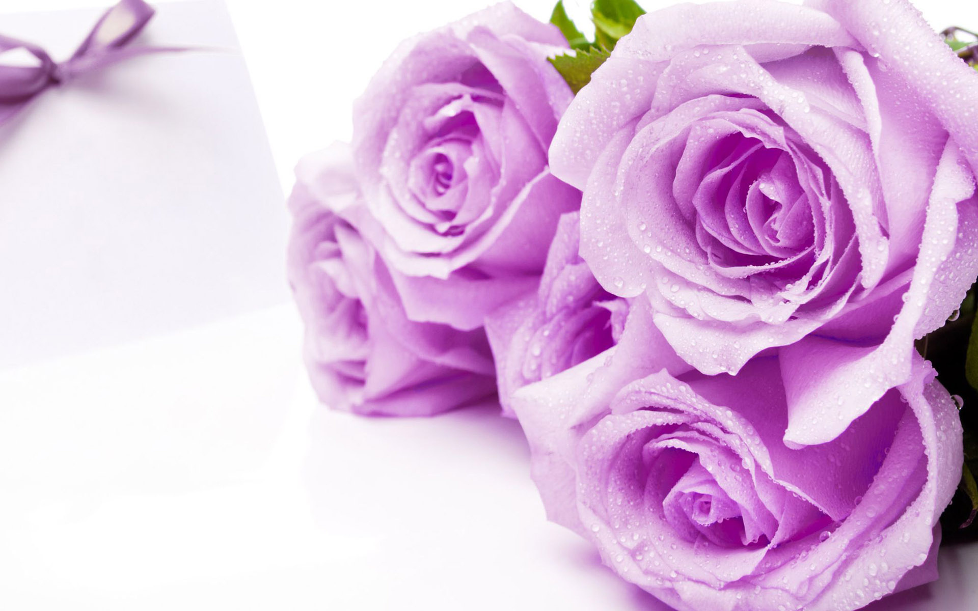 Hình Nền Hoa Đẹp Đón Lễ 20 – 10