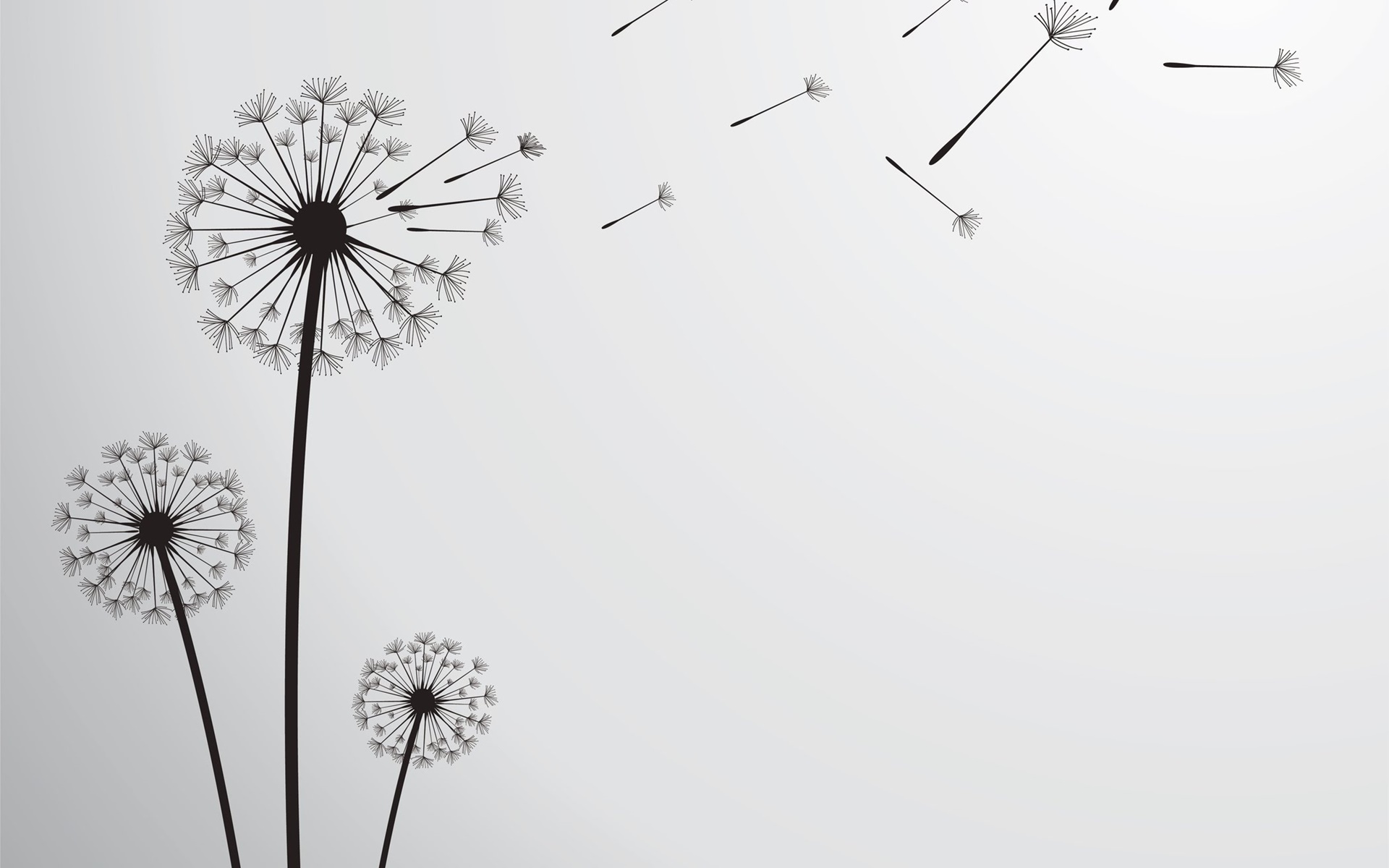 Tải bộ hình nền hoa đẹp, ѕiêu nét cho máy tính