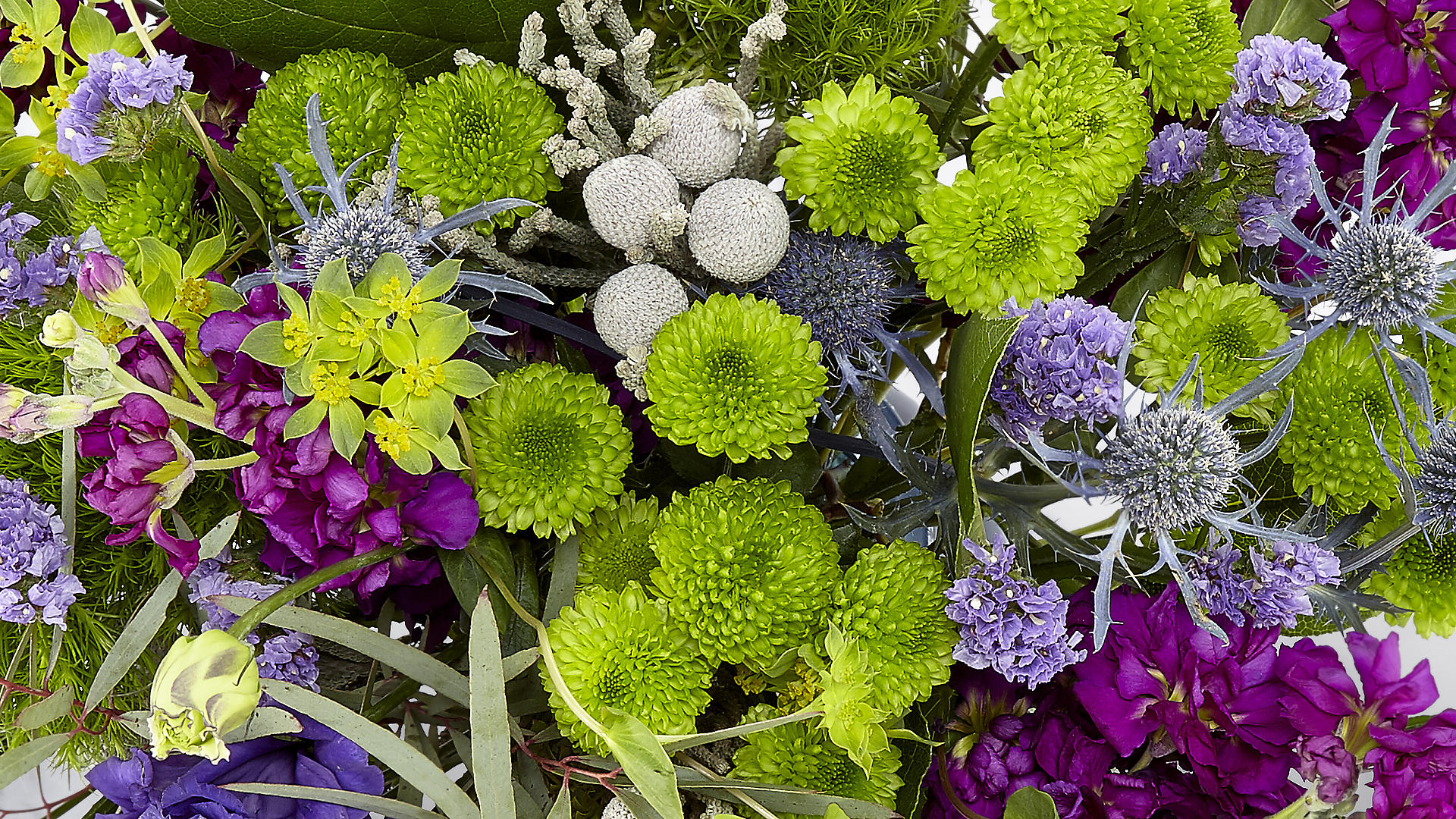 Tải bộ hình nền hoa đẹp, ѕiêu nét cho máy tính