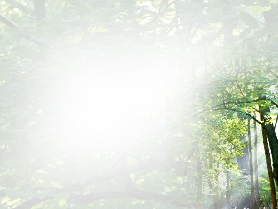 hinh-nen-thien-nhien-cho-powerpoint-2007 Bộ Hình Nền PowerPoint 2007 Đẹp Nhất