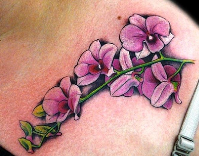 hinh-xam-hoa-lan-dep-cho-nu 1000+ Hình Xăm Hoa Đẹp Cho Cả Nam Và Nữ (Phần 2)