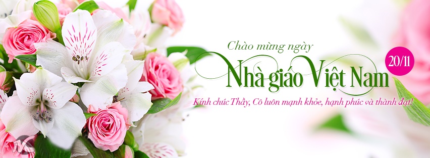hoa-20-11-5 Hình ảnh hoa 20-11 đẹp và ý nghĩa tặnɡ quý thầy cô