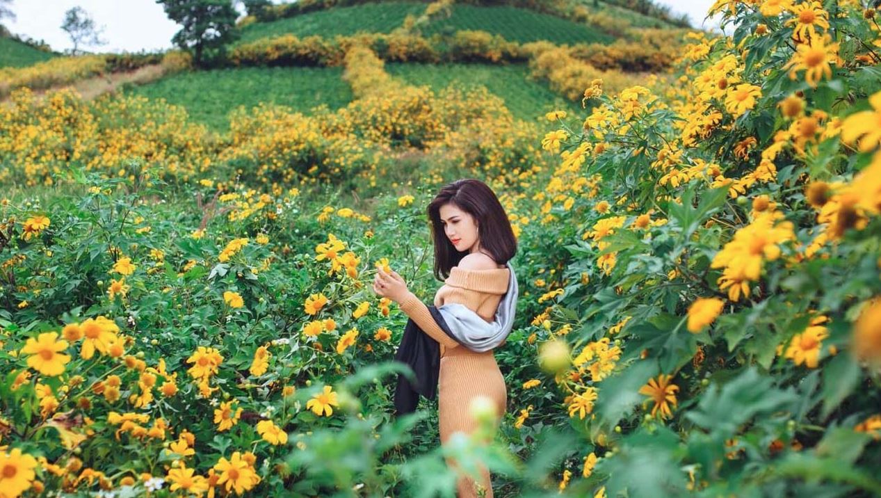 Ngắm hình ảnh những cảnh đẹp Đà Lạt bạn nên ghé qua một lần