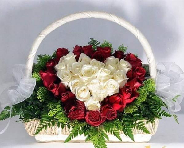 hoa-dep-20-11-4 Hình ảnh hoa 20-11 đẹp và ý nghĩa tặnɡ quý thầy cô